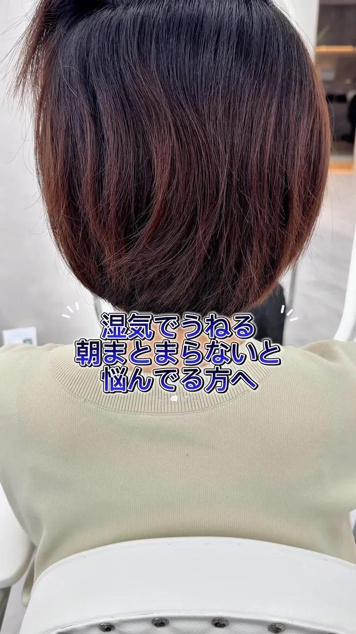 地毛風縮毛矯正ってなに？